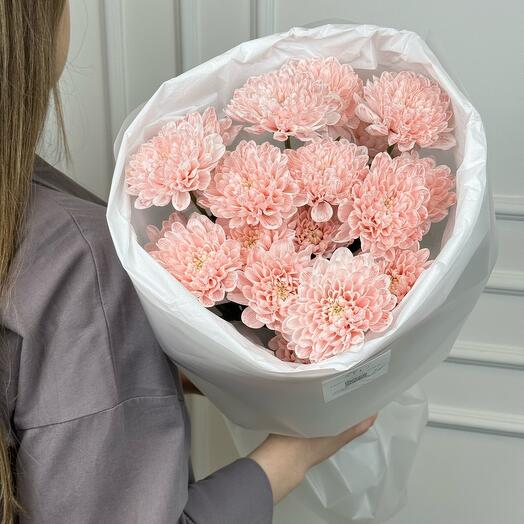 Ramo de crisantemo en polvo