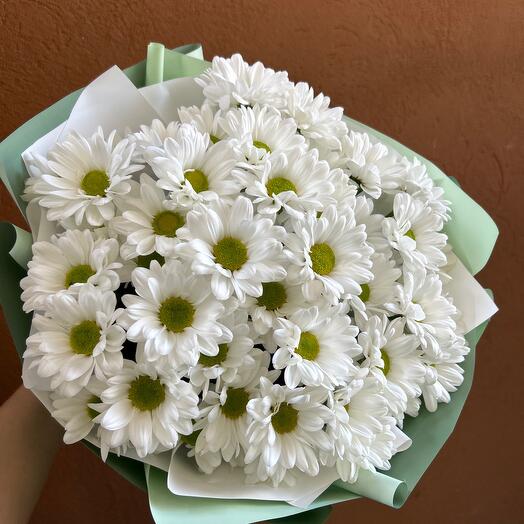 7 chrysanthemums in the design