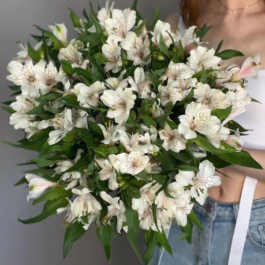 Альстромерия белая 17 шт