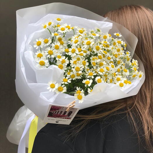 Монобукет из ароматной ромашки 🌼