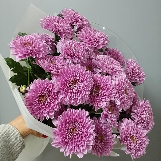 Букет из 5 кустовых хризантем