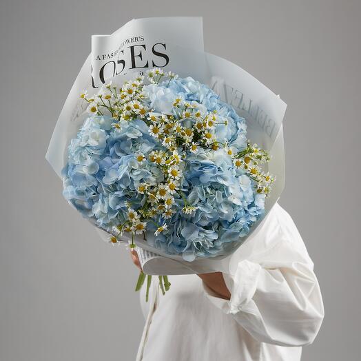 Ramo de hortensias azules y margaritas Ramo 209 Buket in Moscow