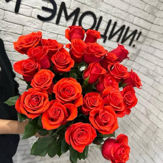 Роза Нина 25