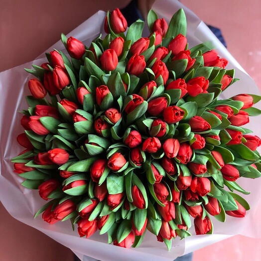 100 Red Tulips