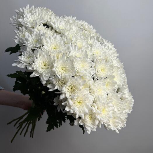 Шикарный букет хризантем для мамы