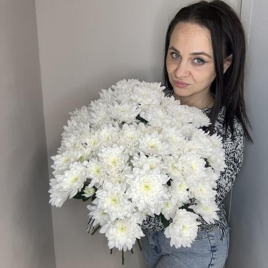 Хризантема кустовая