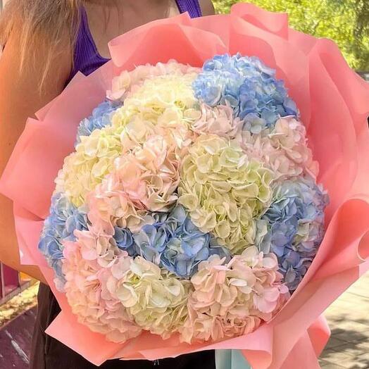 Bouquet of assorted hydrangeas