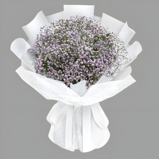 Gypsophila 001