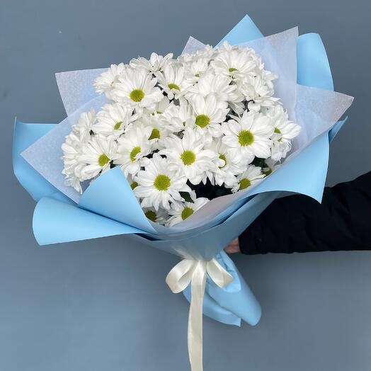 Хризантемы ромашки 5шт