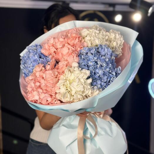 Облако гортензии