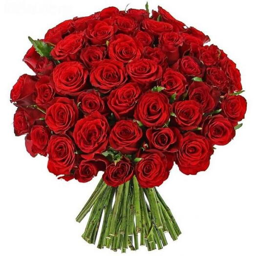 Valentines 75 Red Roses Premium Bunch