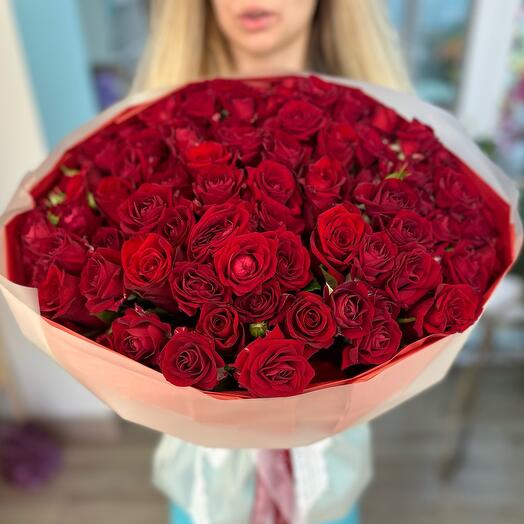 41 rosas arbustivas