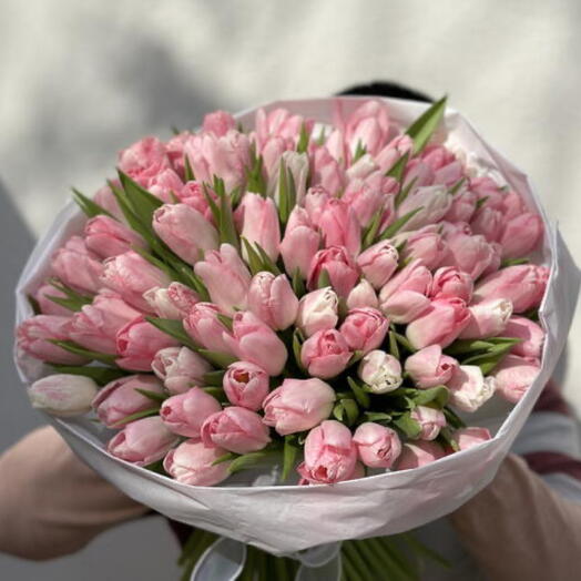 100 pink tulips