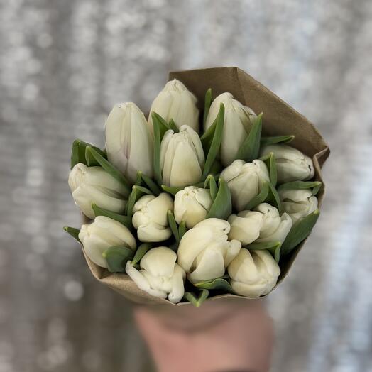 Тюльпан 15