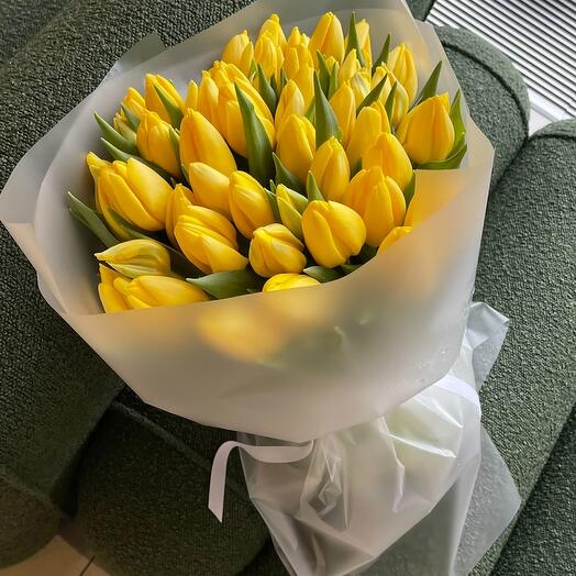 51 Yellow Tulip