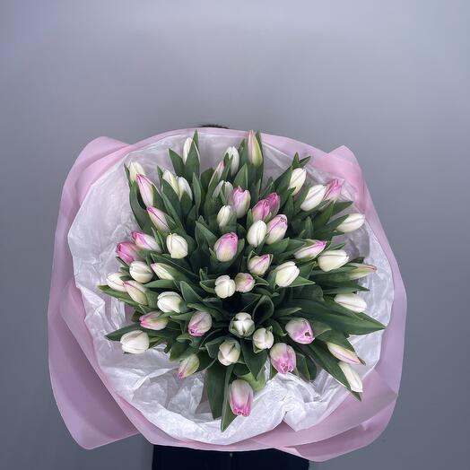 Tulipani 35pz