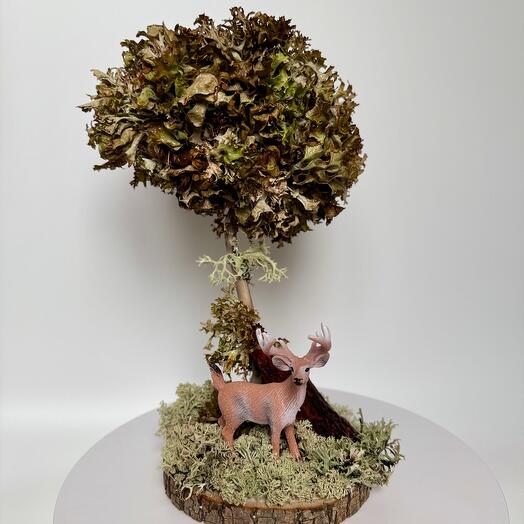 Дерево из цетрарии - живое дерево "Лесная сказка"