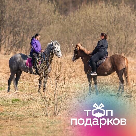 Подарочный сертификат Индивидуальная конная прогулка в дальние поля для 1 чел. (2 часа)