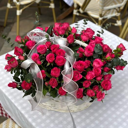 10-S Mono Spray Sofia Basket