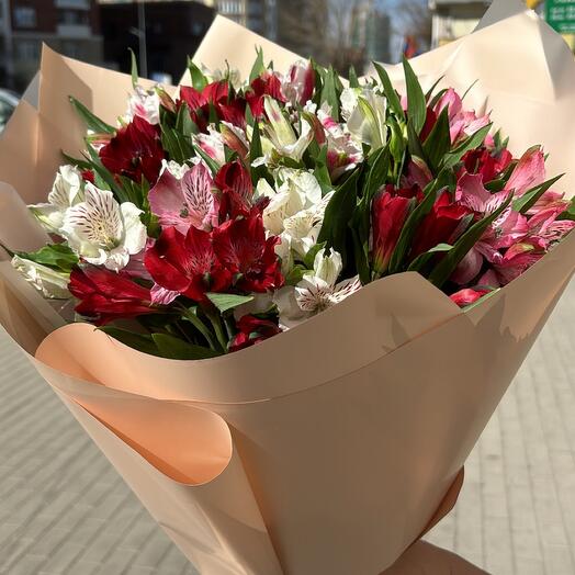 Альстромикс М