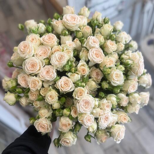 Букет из 25 нежной кустовой розы