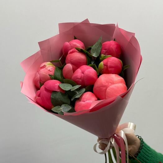 Peonías "Coral Charm" que cambian de color (9 piezas)