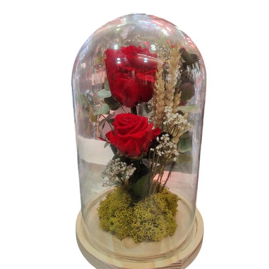 Rosa Eterna en Campana de Cristal