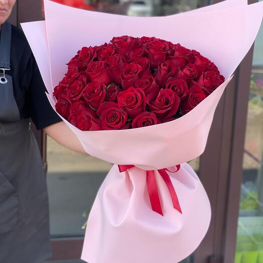 51 шикарная красная Роза Эквадор🌹крупный бутон