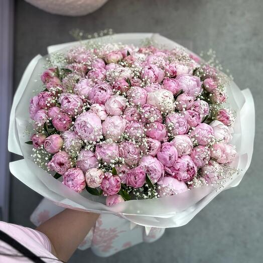 101 peonies with gypsophiles