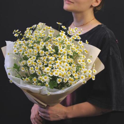 Букет из ромашек (11 шт)