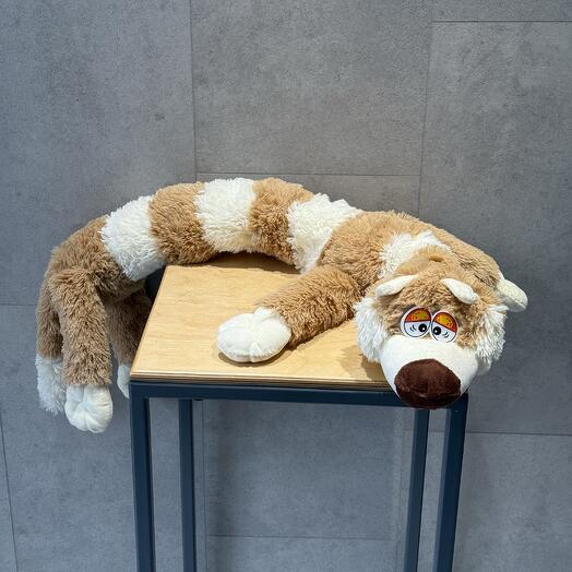 Кот белорусский