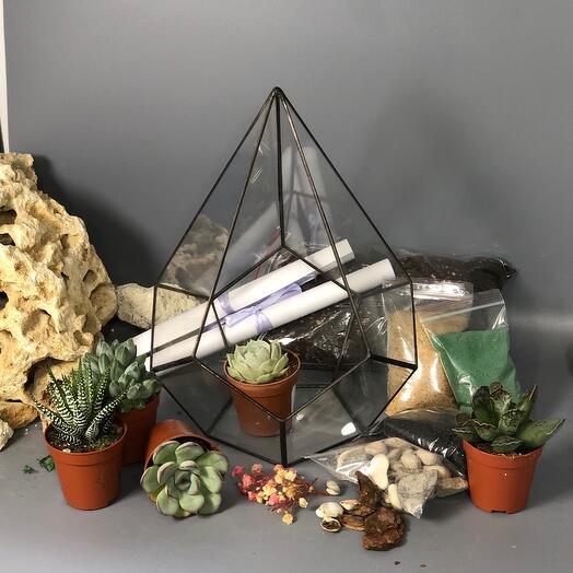 DIY Florarium Creation Kit