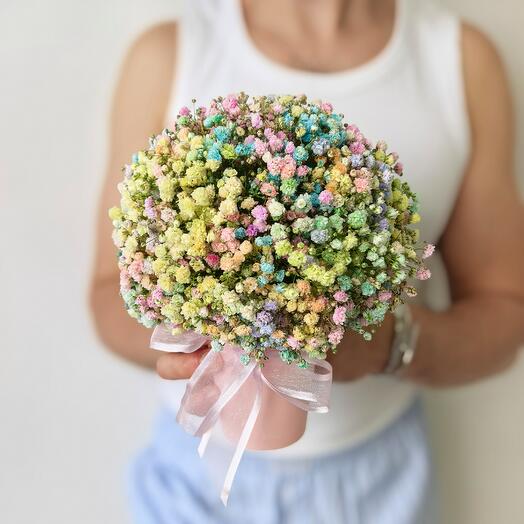 Крашеная Гипсофила в стаканчике, 7 шт