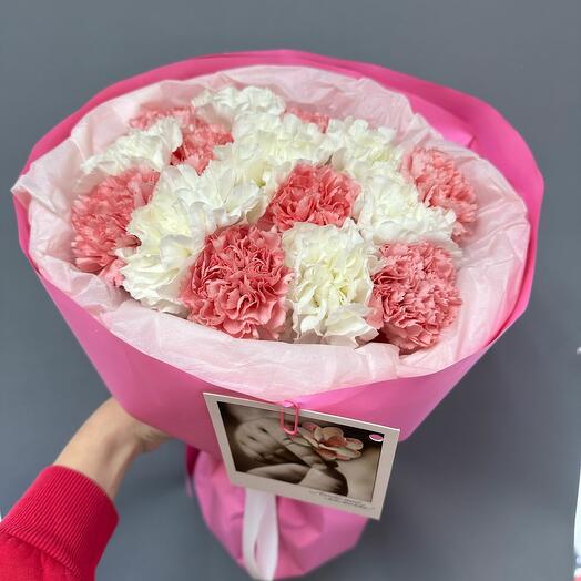 15 розово-белых диантусов