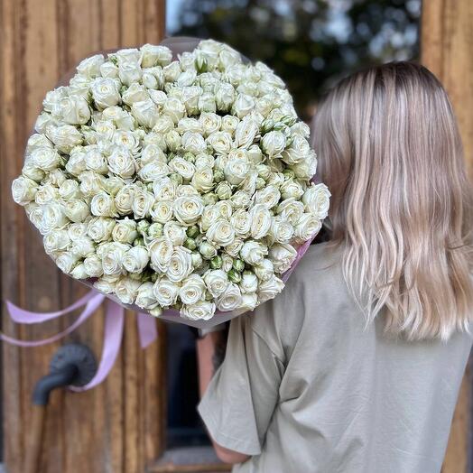 Букет белых кустовых роз 51 шт