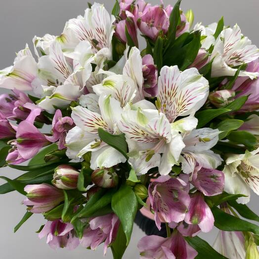 Альстромерия 11 штук под ленту