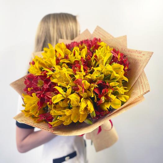 Red and yellow alstroemeria