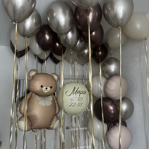 Воздушные шары на выписку мальчика девочки на день рождения