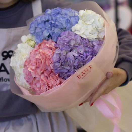 5 гортензий