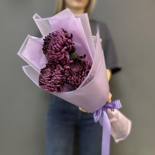 Акция! Букет из 3 Хризантем Бигуди цвета purple