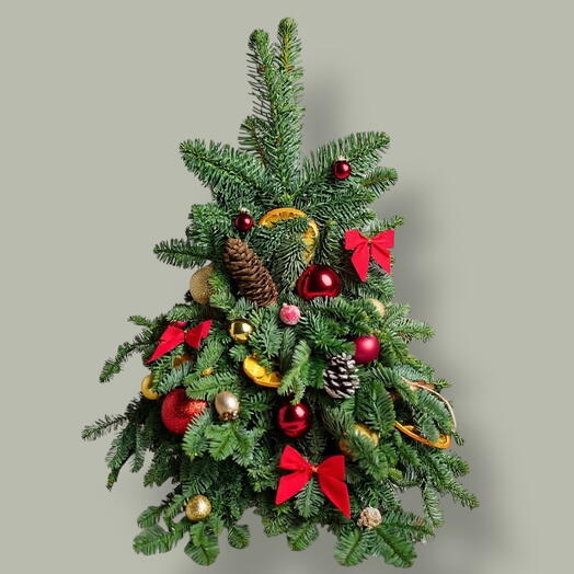 🎄Елочка 50 см новогодняя из живого Датского нобилиса