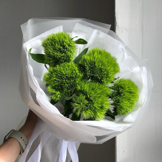Диантус барбатус 💚 5 шт