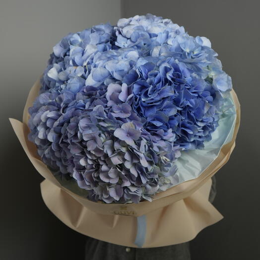 Моно-букет из королевской гортензии