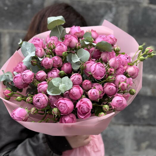 Pink Aroma bush peony-like roses