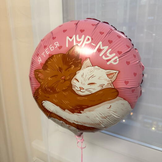 Воздушный шар «Котики Мур-Мур»