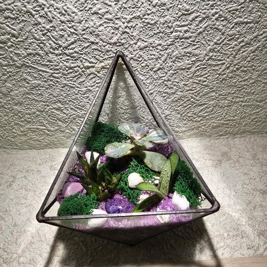 Флорариум многогранник треугольный с суккулентами малый