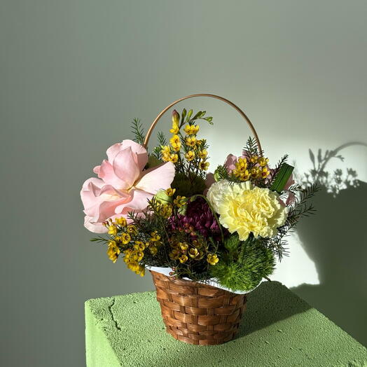 Sunny Pastel Garden 🫶🏻