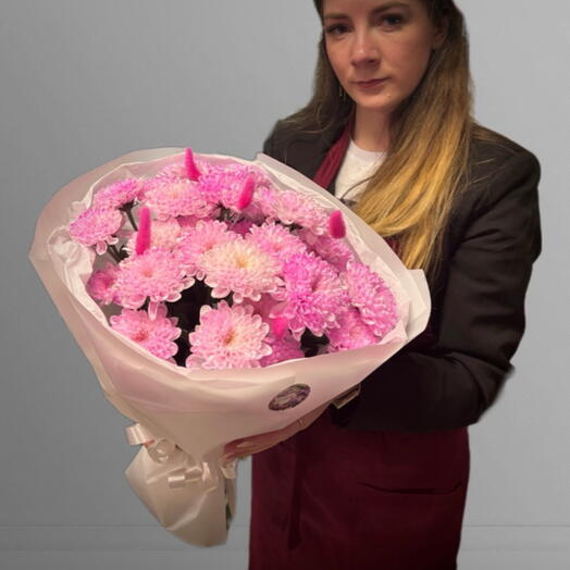 Малиновые хризантемы