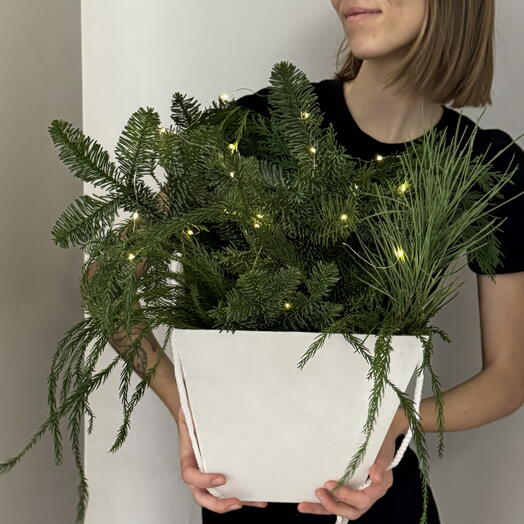 Мерцающая новогодняя композиция из хвойных веток с огоньками в коробке