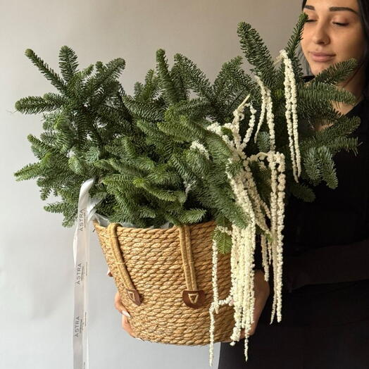 Композиция Щелкунчик